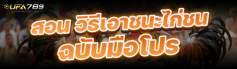 วิธีเอาชนะไก่ชน