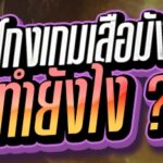 วิธีโกงเกมเสือมังกร
