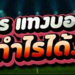 5 สูตร แทงบอลไทย
