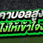 ราคาบอลสูงต่ำ