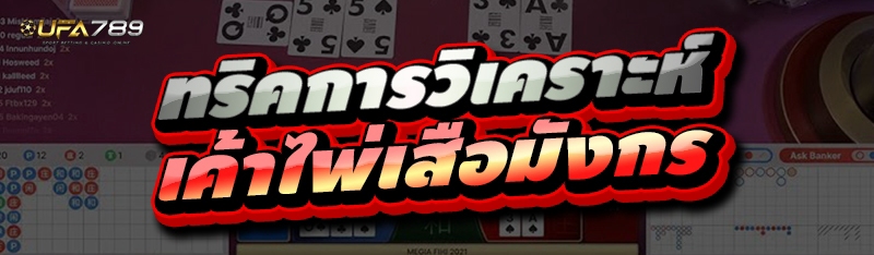 เค้าไพ่เสือมังกร